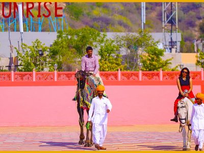 camel-cart-2